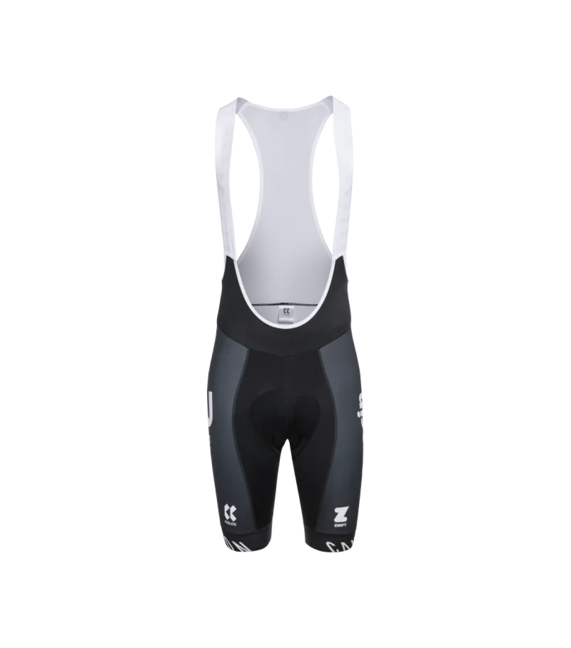 KALAS ALPECIN-PREMIER TECH / Bib Shorts