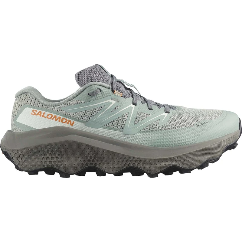 ultra flow 2 gore-tex hardloopschoenen