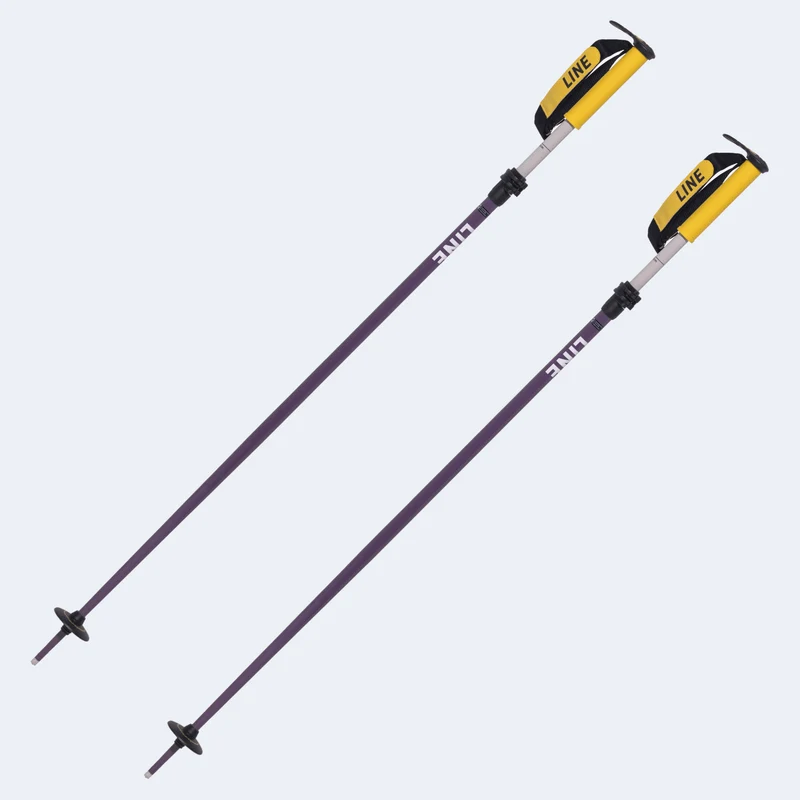 Line Paintbrush Ski Poles