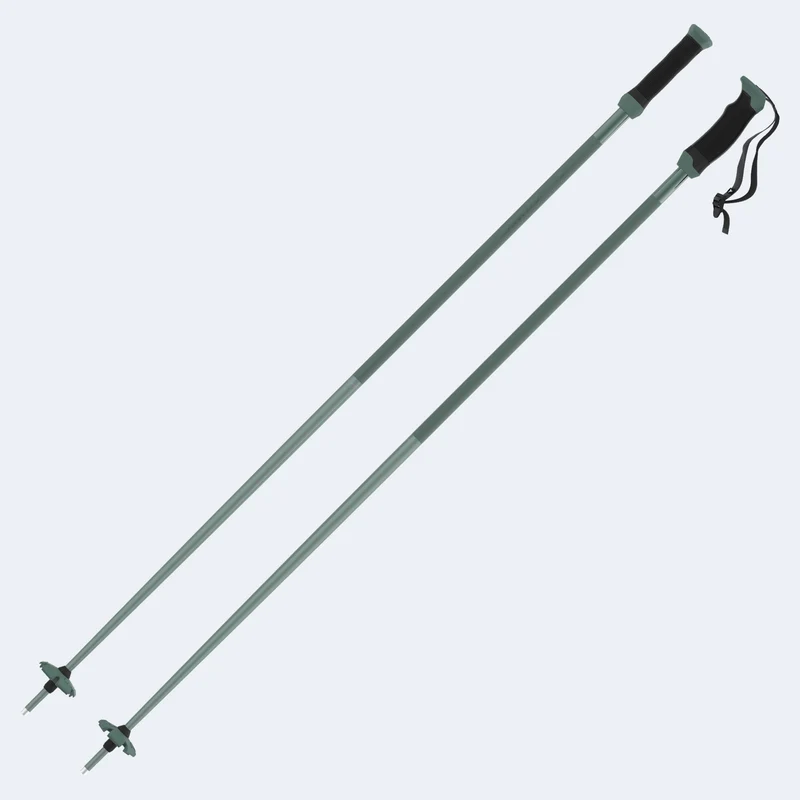 Atomic AMT SQS Ski Poles