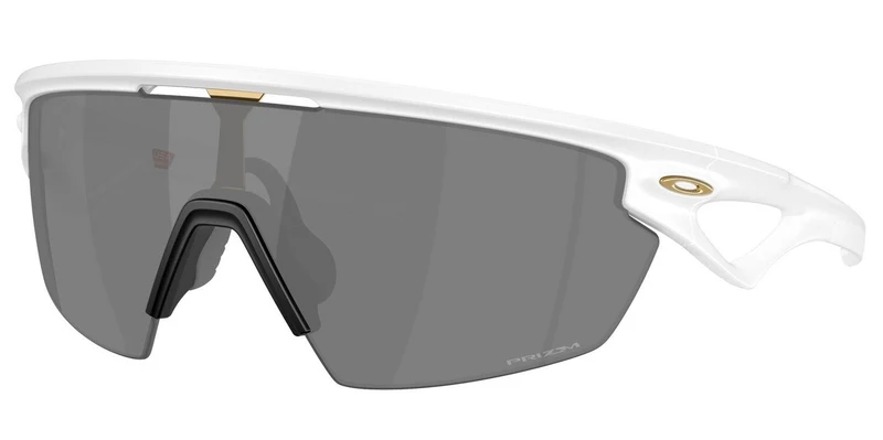 Sphaera Prizm Black Sunglasses